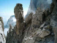 DSCI0057.JPG (29140 Byte)