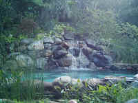 DSCI0081.JPG (34168 Byte)