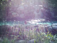 DSCI0086.JPG (25422 Byte)